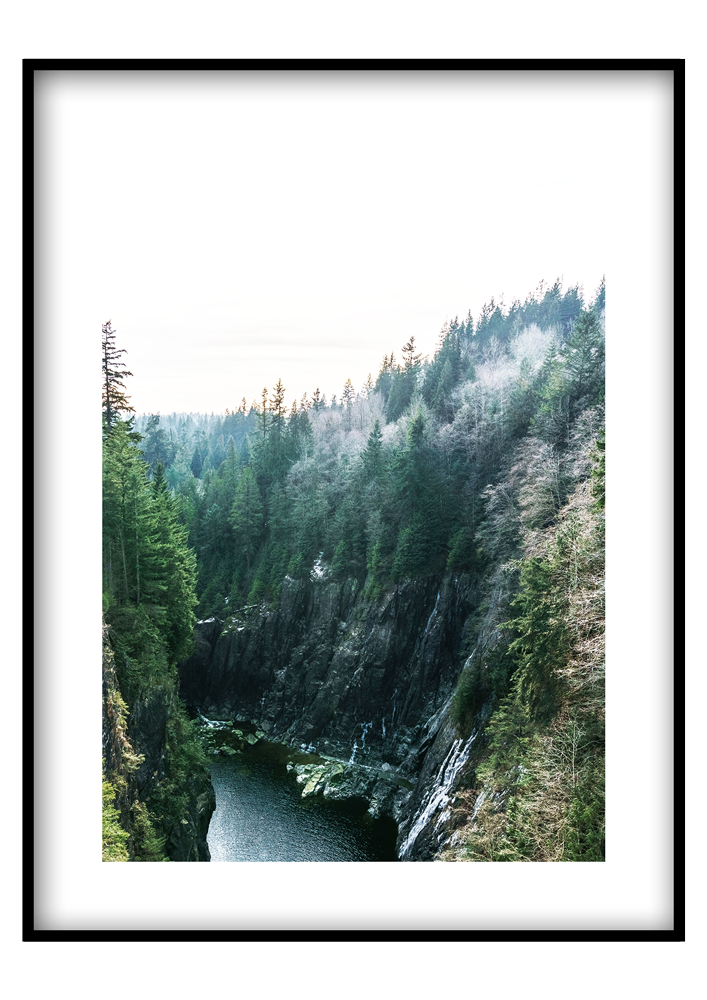 Capilano kanyon - Vászonkép