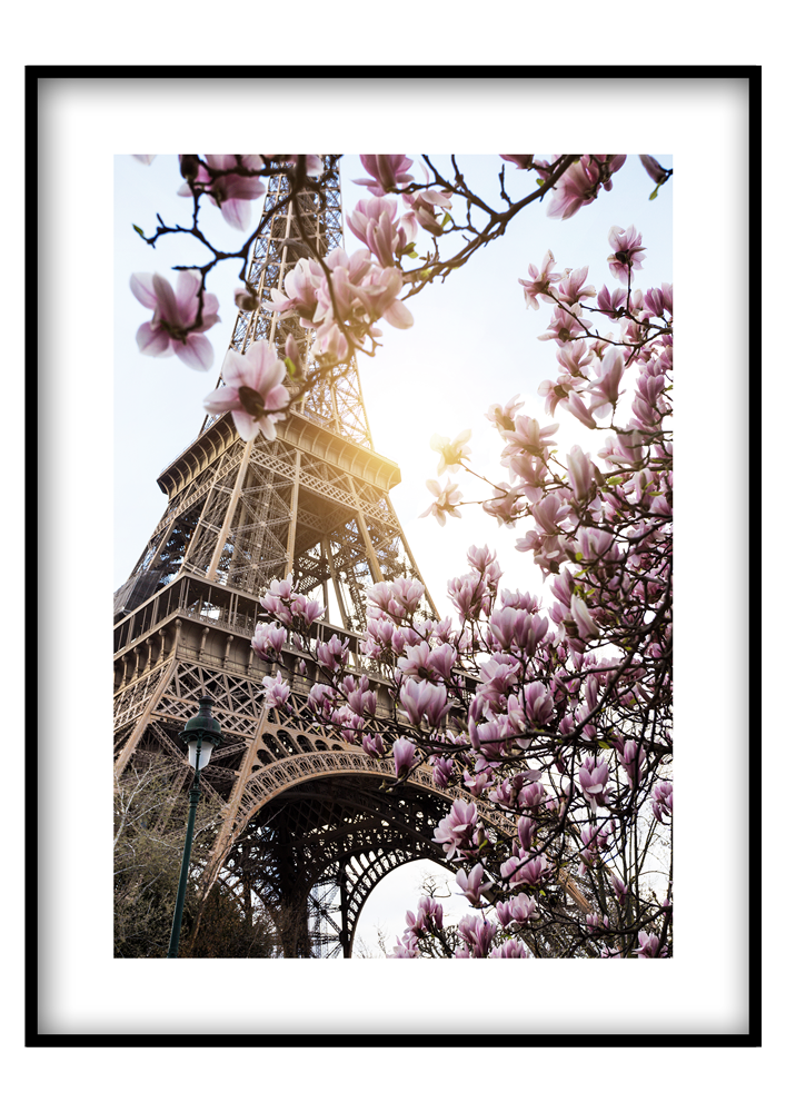 Magnóliás Eiffel-torony - Poszterkép