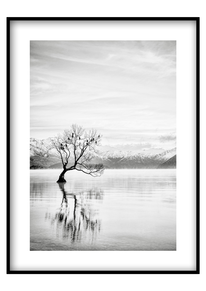 Wanaka-tó - Poszterkép