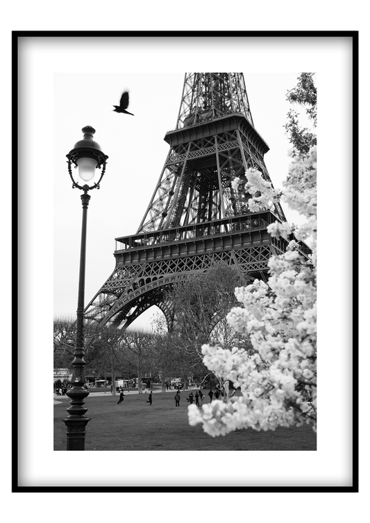 Eiffel torony - Vászonkép