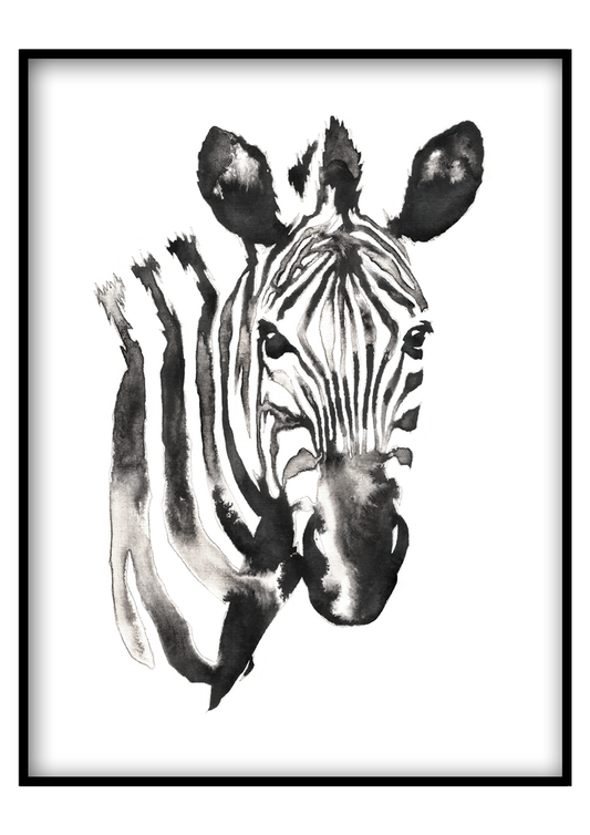 Festett zebra - Vászonkép