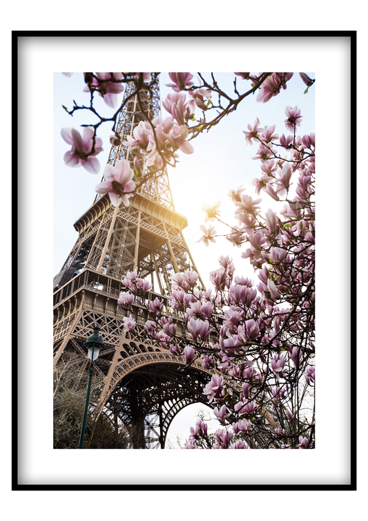 Magnóliás Eiffel-torony - Poszterkép