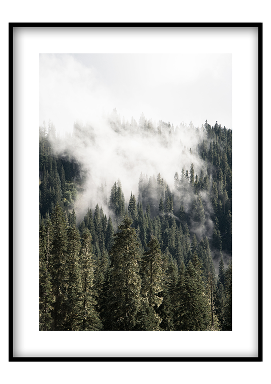 Mount Rainier Nemzeti Park - Poszterkép